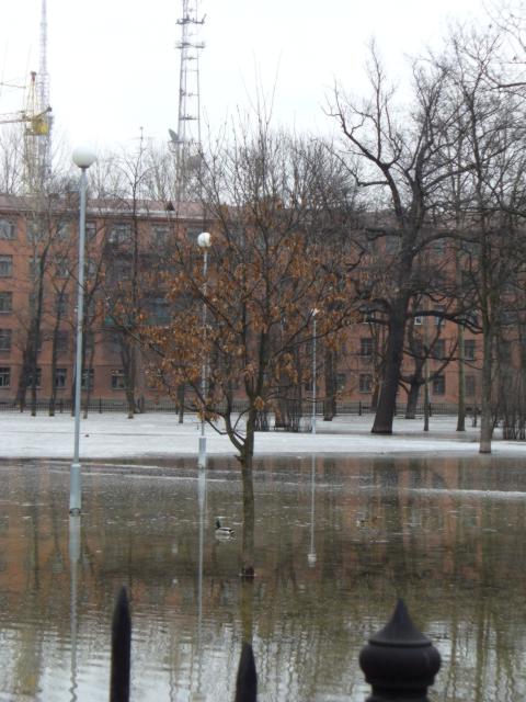 060404/ P1000649_S.JPG