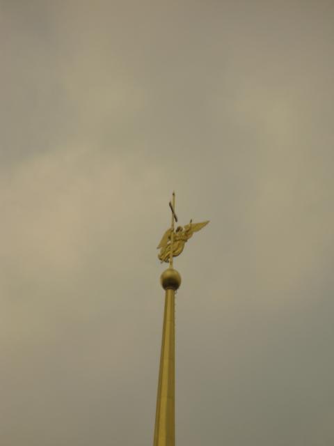 060408/ P1000859_S.JPG