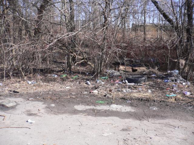 060409/ P1030393_S.JPG