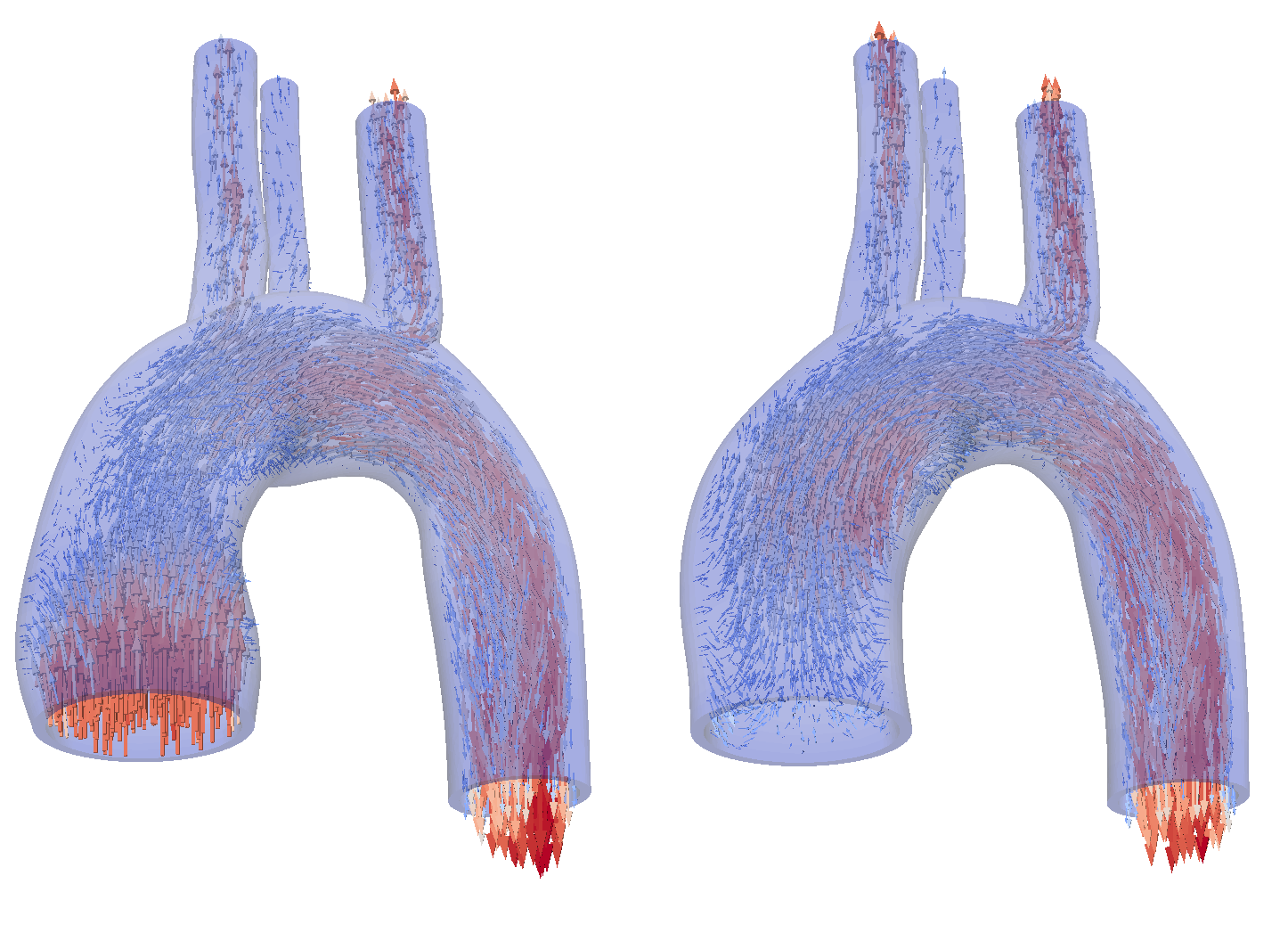 File:PreCICE Aorta.png